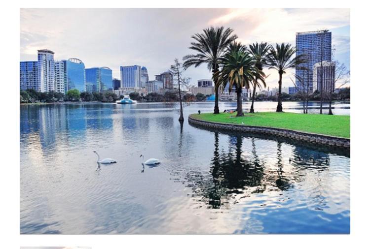 College Park-Orlando 5Star Villa Oasis - Home Away From Home - Quiet Neighborhood-Private Botanical Courtyard - Mins From Eola,Dt, Winter Park - Free Parking & Ev Plug In المظهر الخارجي الصورة